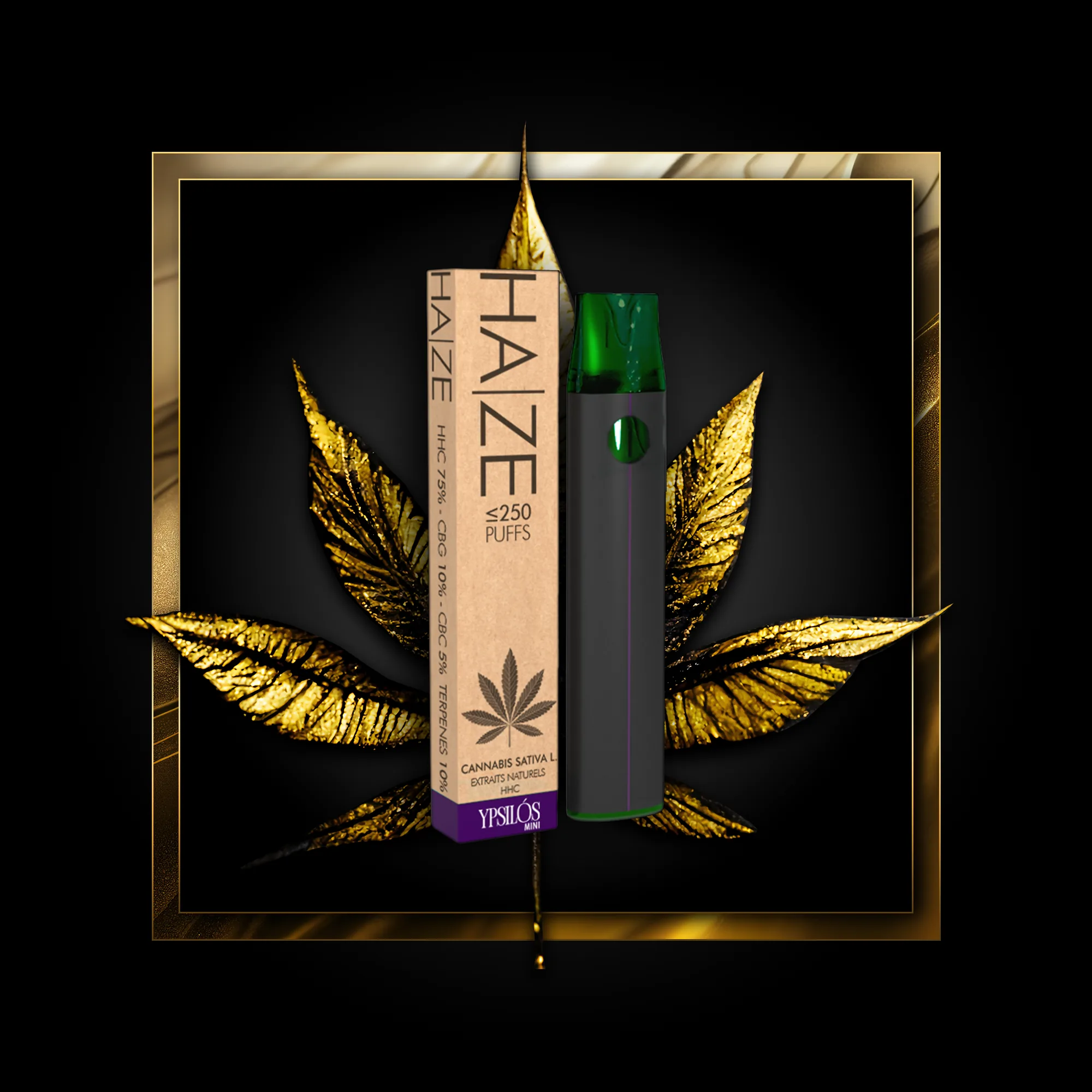 Haze (wegwerp) 250 pufjes - 0,50 ml. HHC
